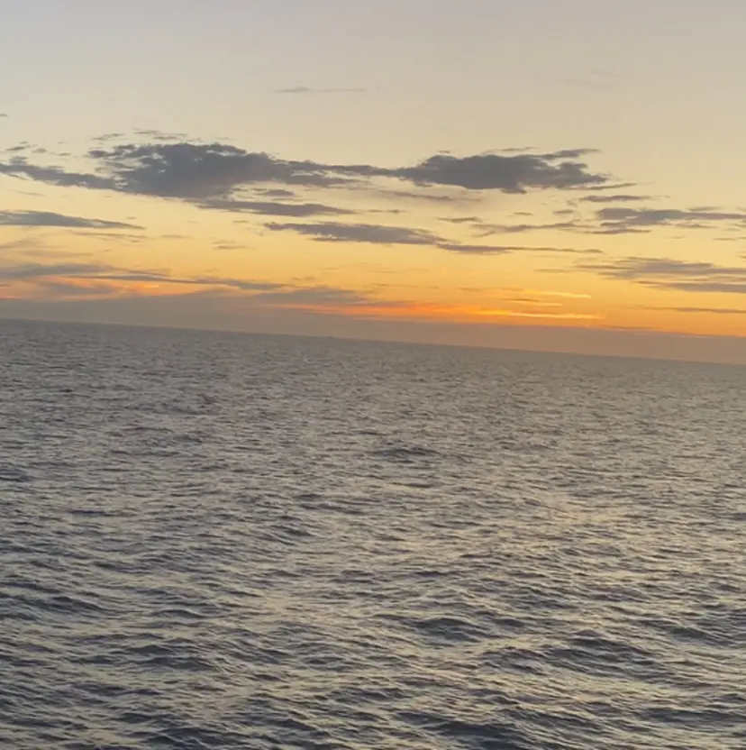 村田 雛乃の掲載