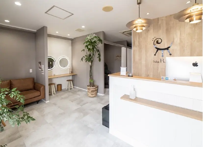 鈴木 杏奈の掲載