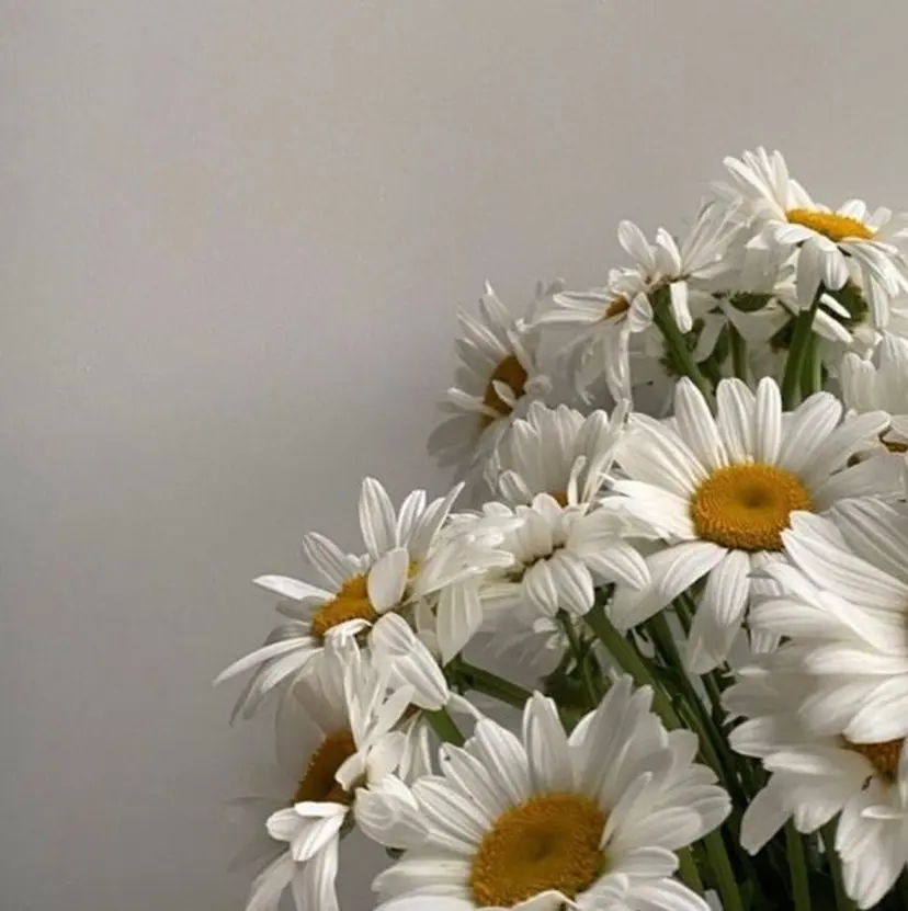 クラサキ アンナの掲載