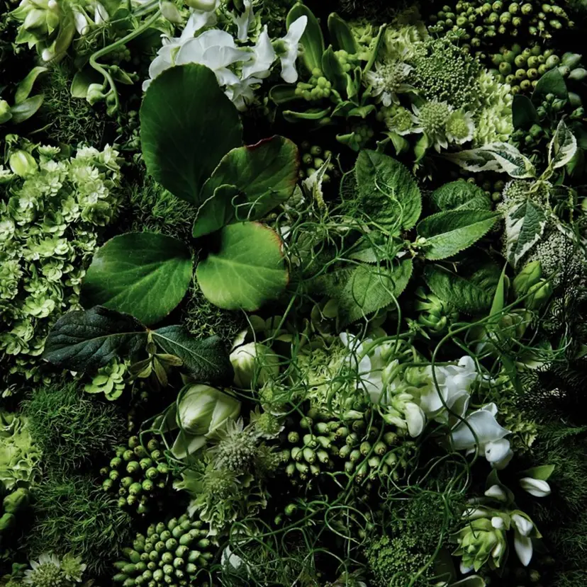 西嶋 祐太の掲載