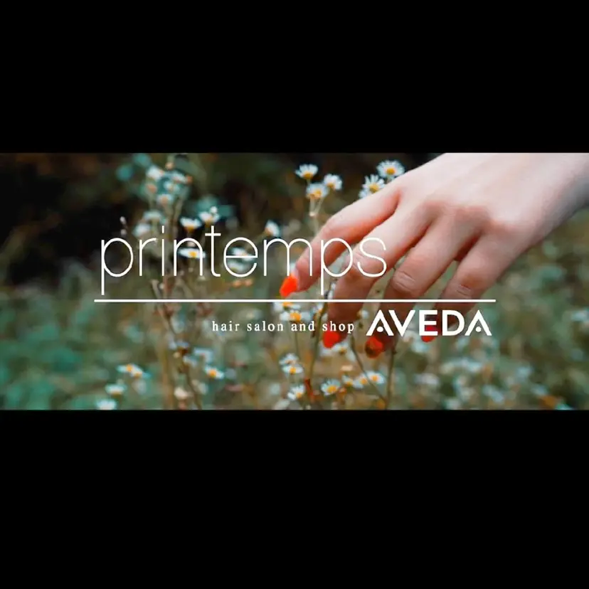 牛間木 桜の掲載