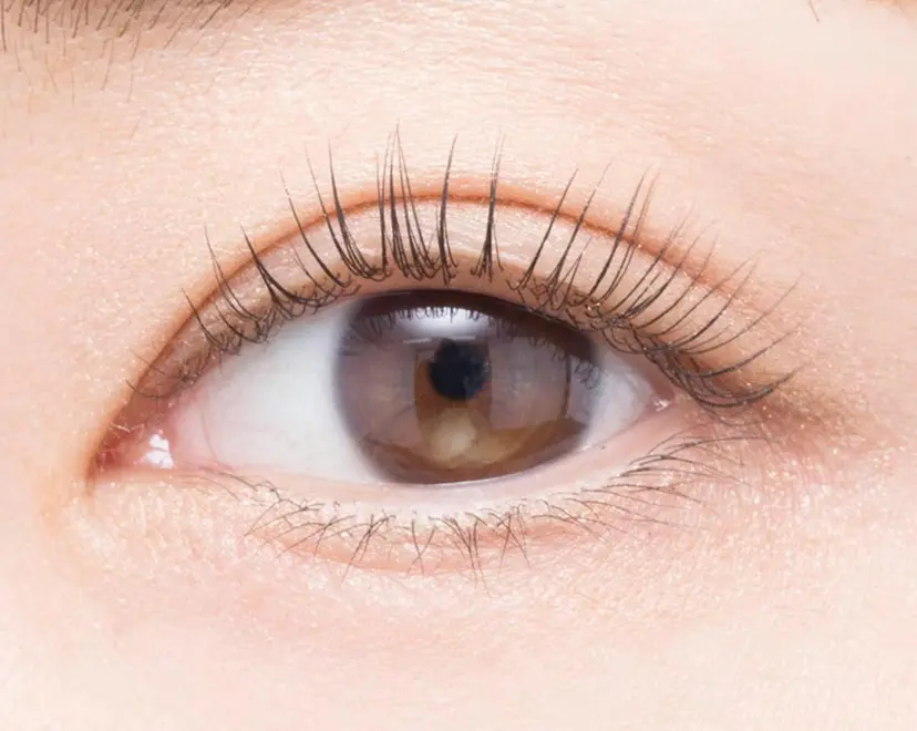 blanc kandoriの掲載