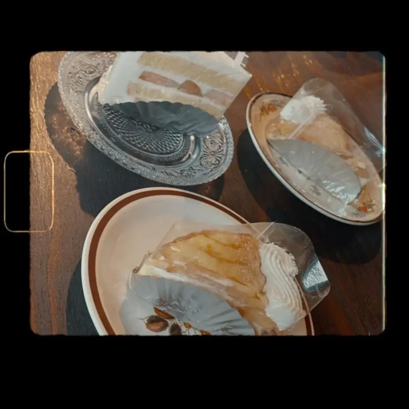 森田 詩音の掲載