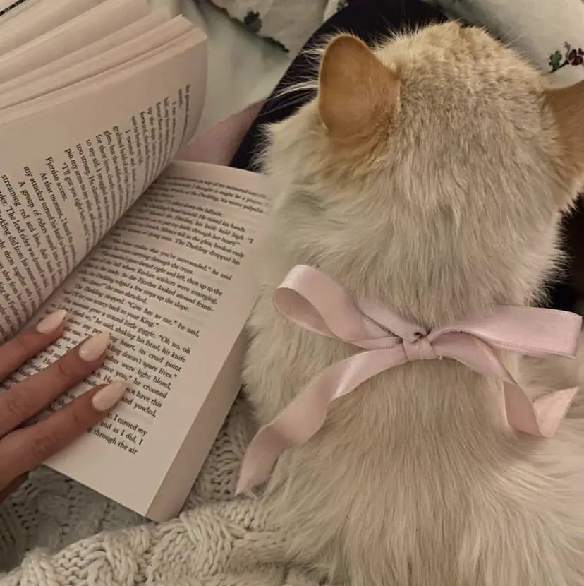 earth小山店 𝙍𝙖𝙣の掲載