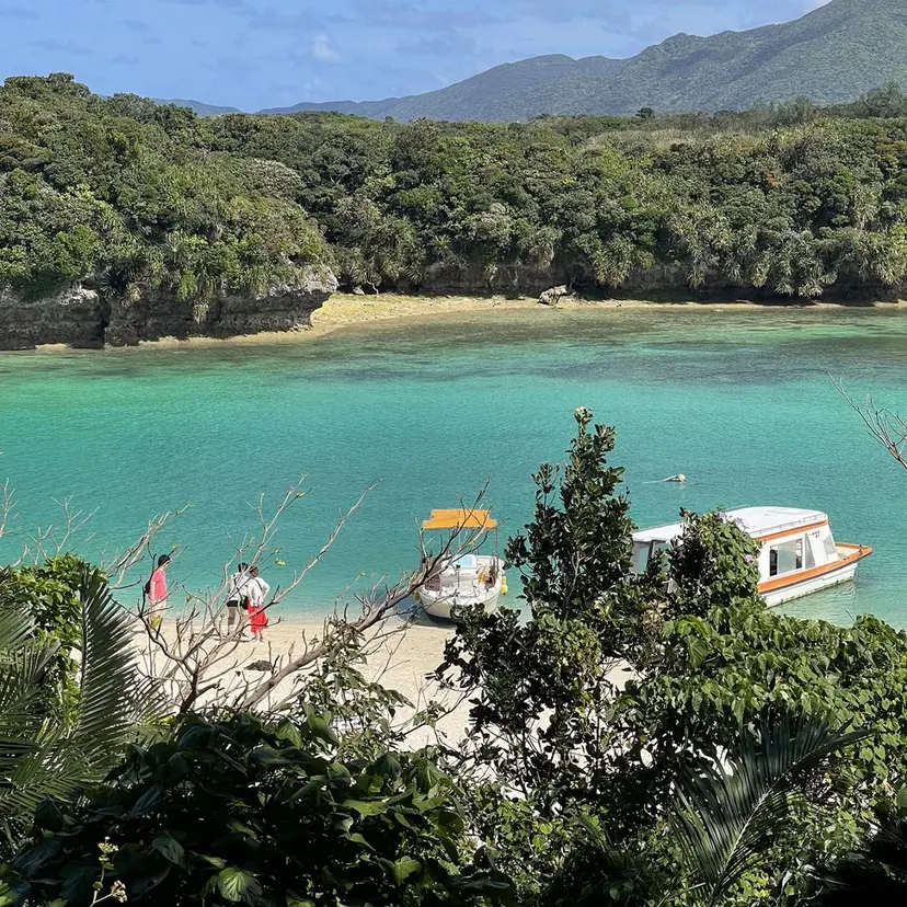 LaSHE's YUKARIの掲載