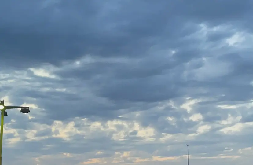 メンズ特化 👦🏻✨memeの掲載