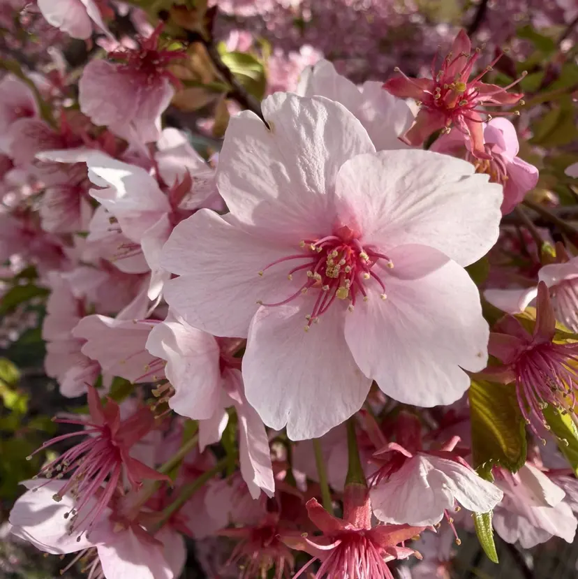 🌈無料モデル様募集 ネイルケア専門サロンの掲載