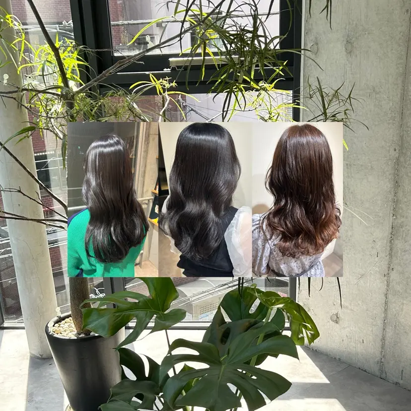 👒oikawa kaede🍃の掲載