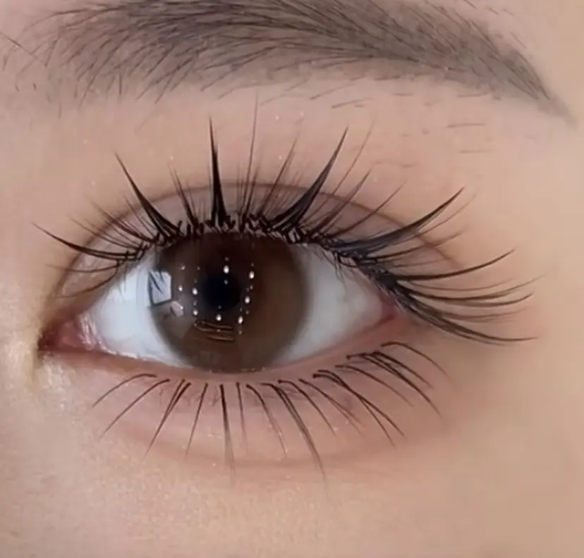 小林 花蓮の掲載