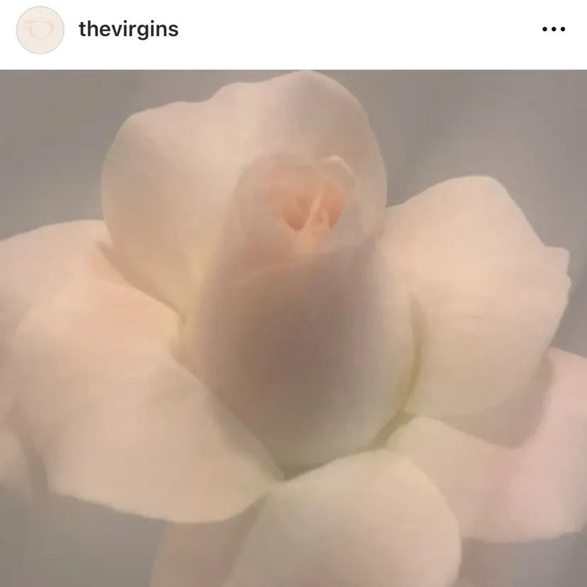 柔らかいガーリーヘア 🎀Mahiroの掲載