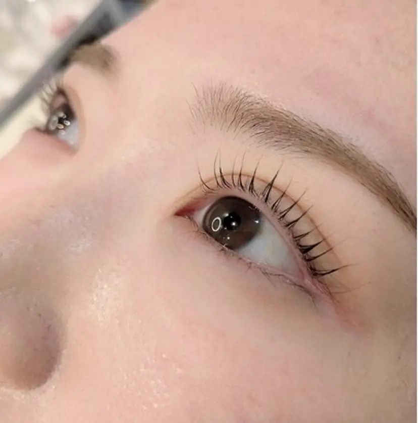 クワトロ Hの掲載