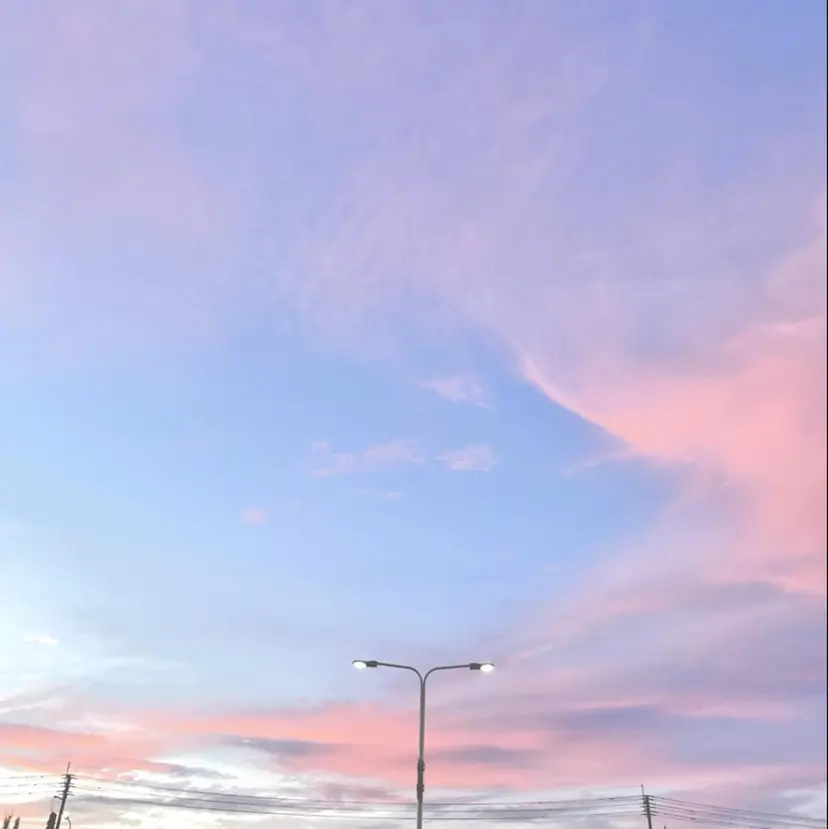 井上 ほのかの掲載