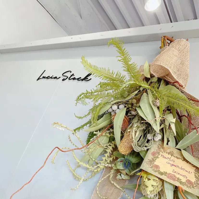 Lucia 北崎の掲載