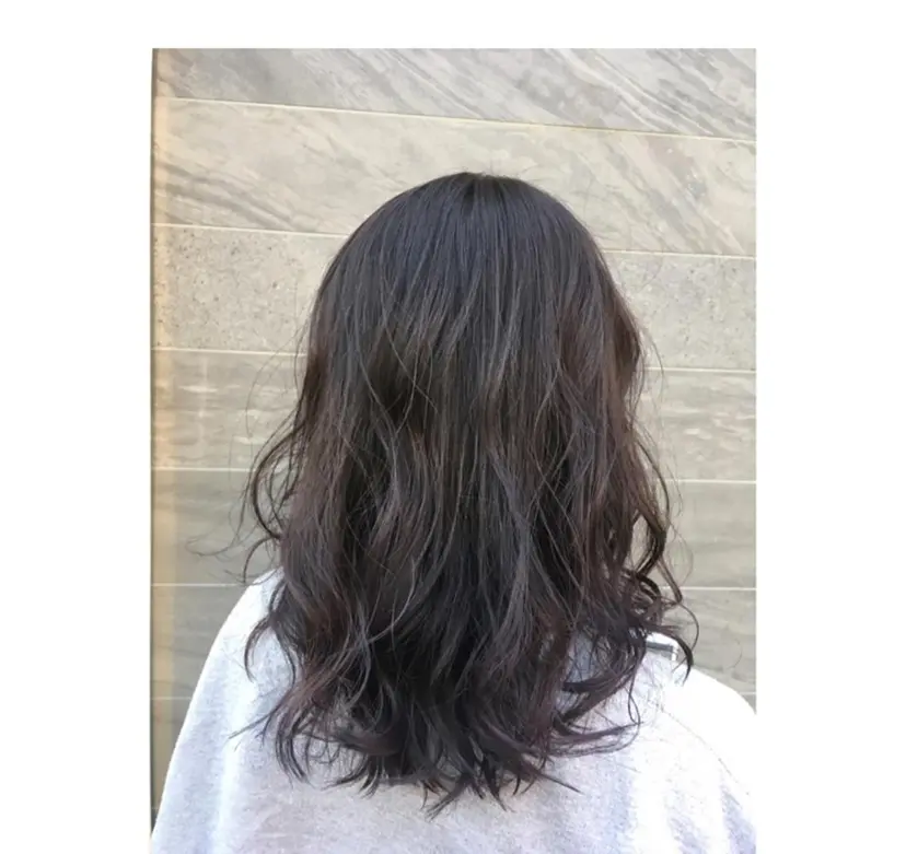 コンドウ サラの掲載