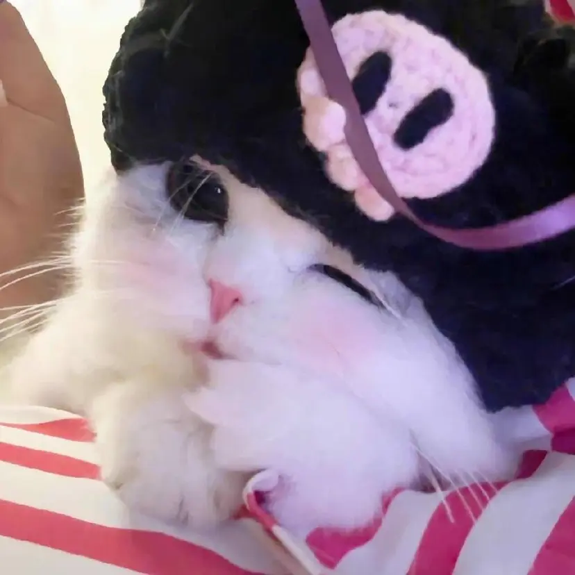 🎀束感/上下エク/ 𝙍𝙐𝘼 🎀の掲載