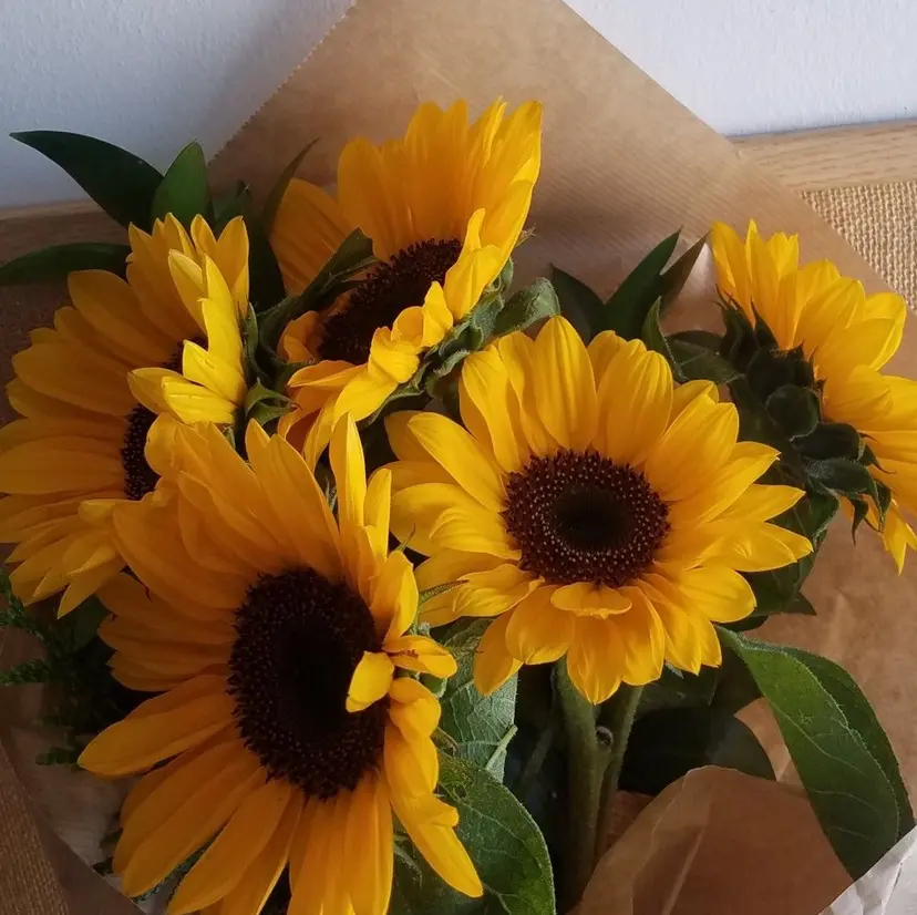 private nail salonの掲載