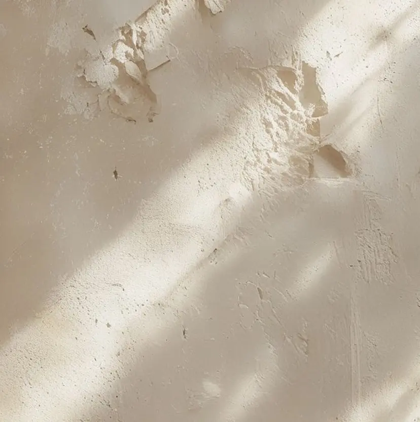 atelier design Amiの掲載