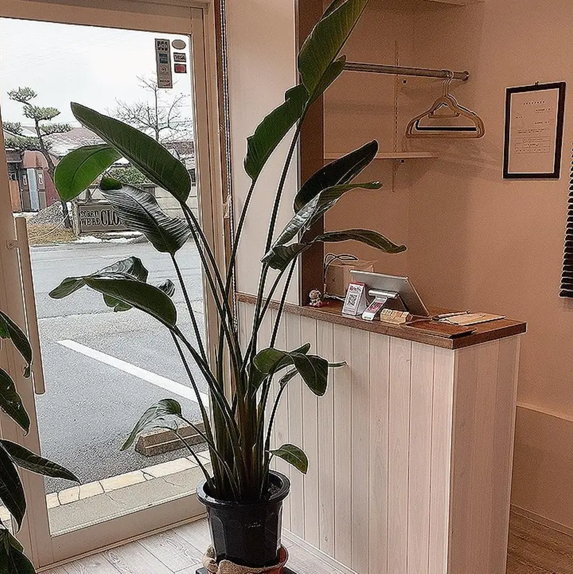 ALLURE hair&esteの掲載