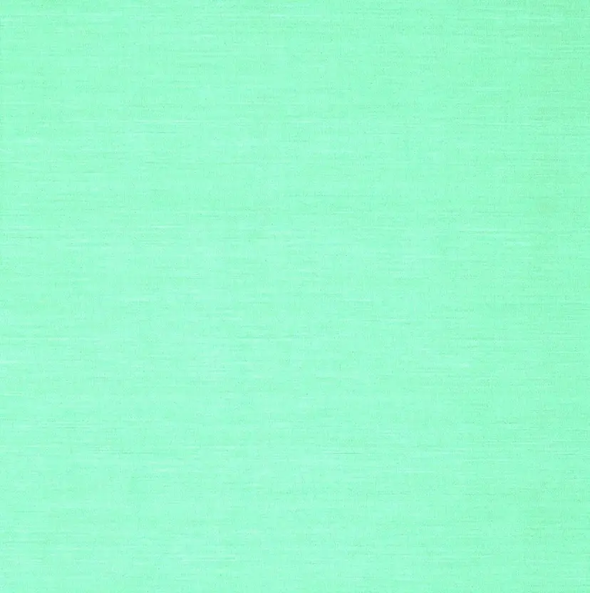 ひなの/透明感 カラー/レイヤーの掲載