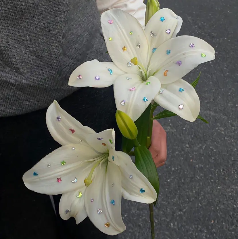 横浜Bob美容師🤎 ERINAの掲載