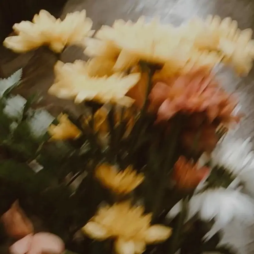 ANTI/ ISSEIの掲載