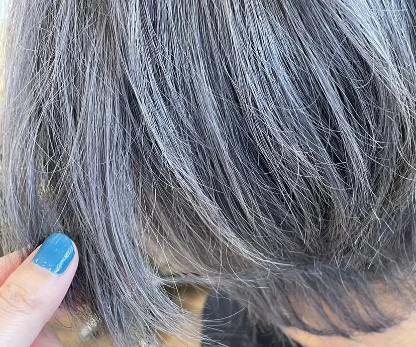 はやた しおり🌾の掲載