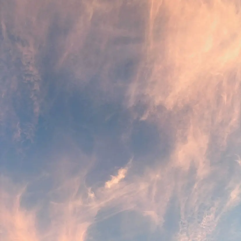 ぬくい せいな💫の掲載