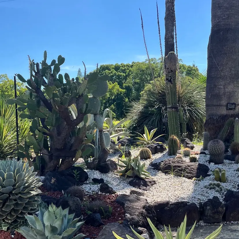 酒井 美里の掲載