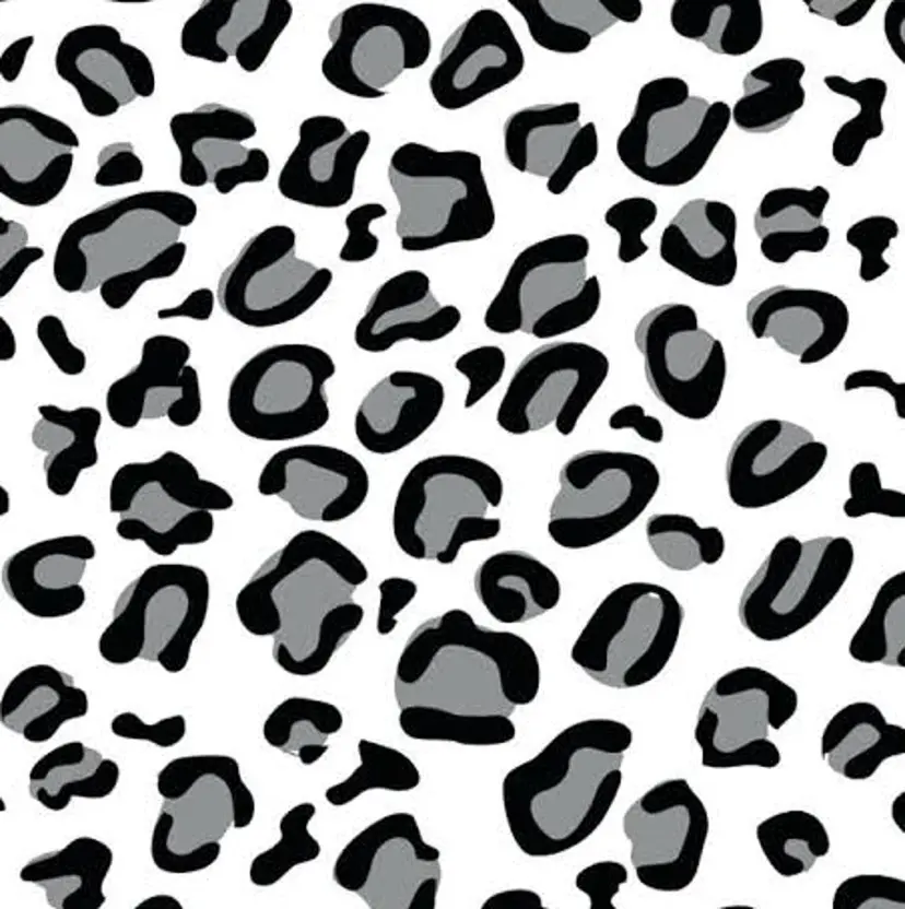 西沢 さくらの掲載