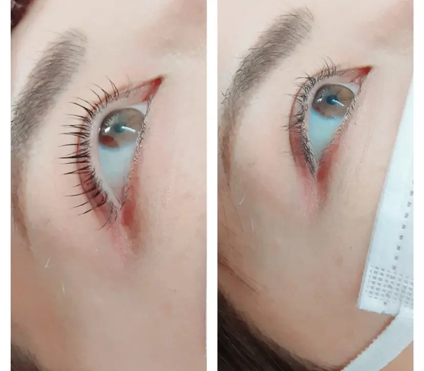 マイアンジェリーク 上野の掲載