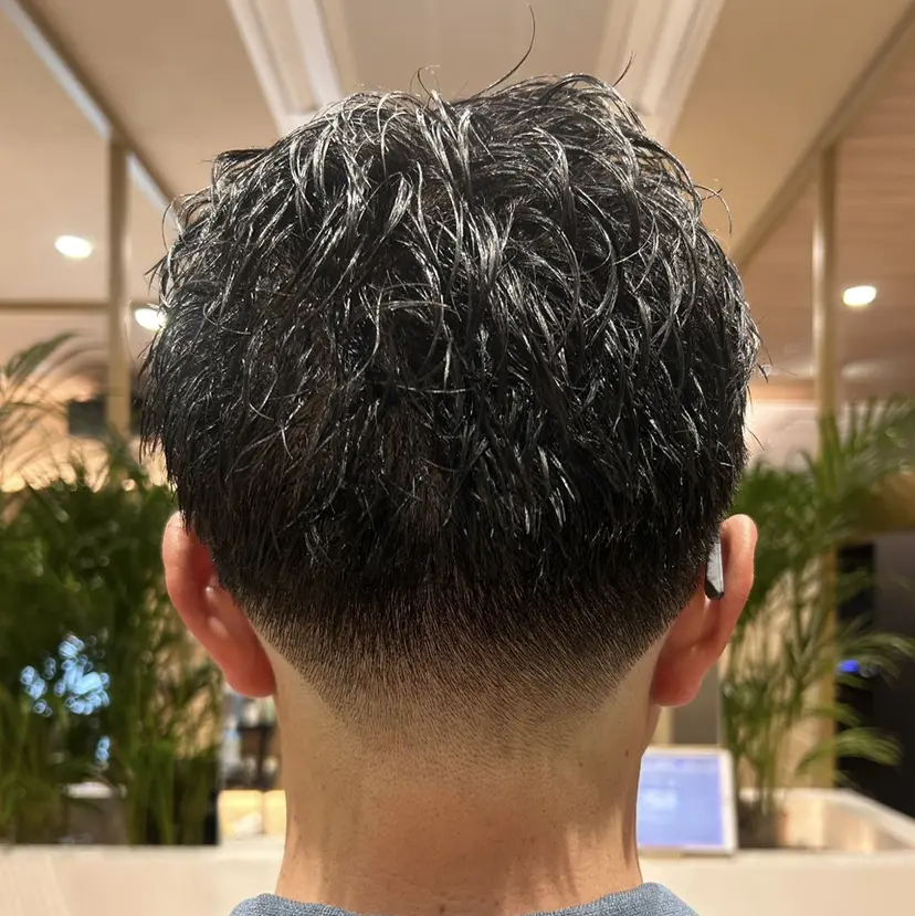 木村 太耀の掲載