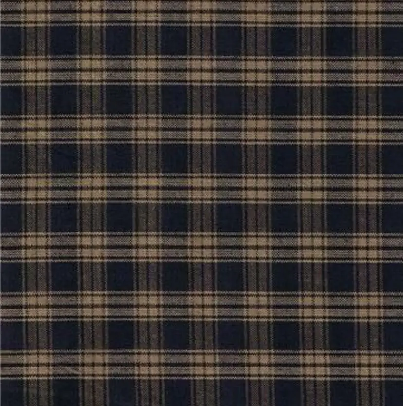 EYELA石関 藍の掲載