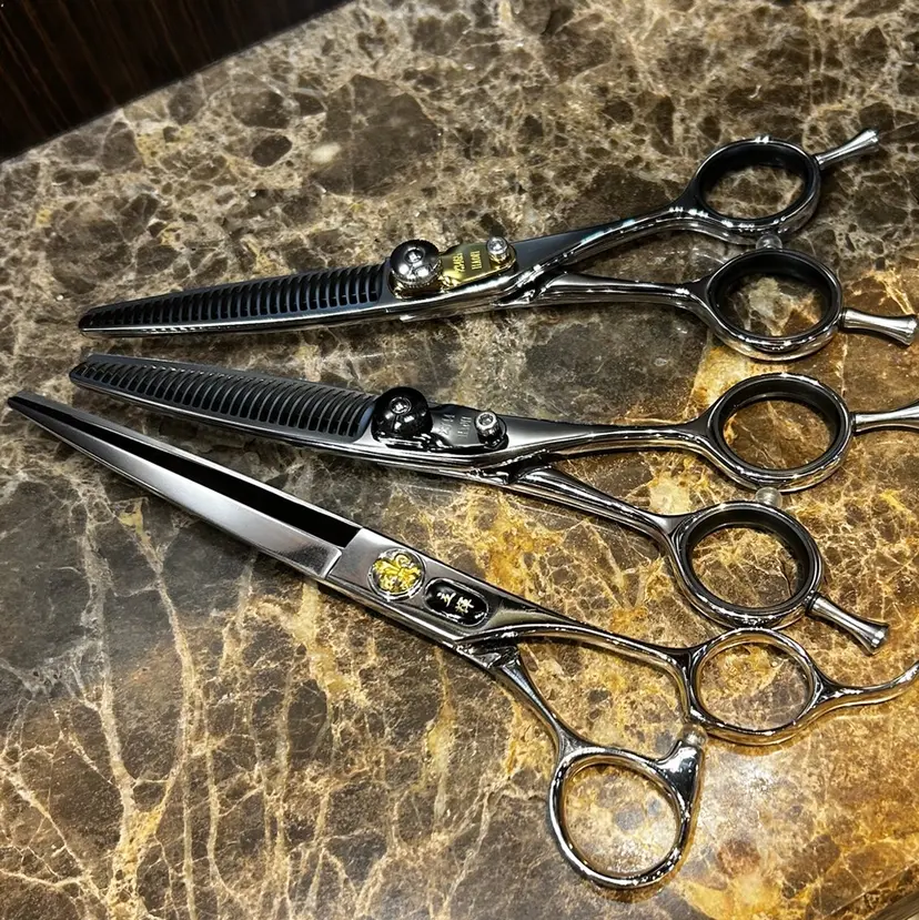 💈田上 立輝の掲載