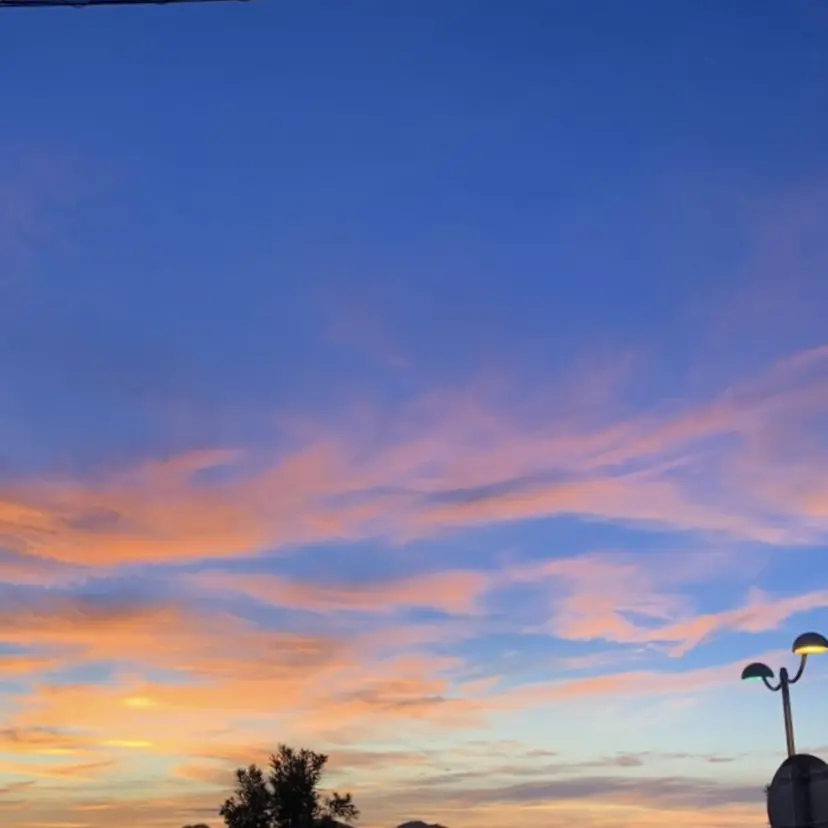 Cherie mu RIKOの掲載