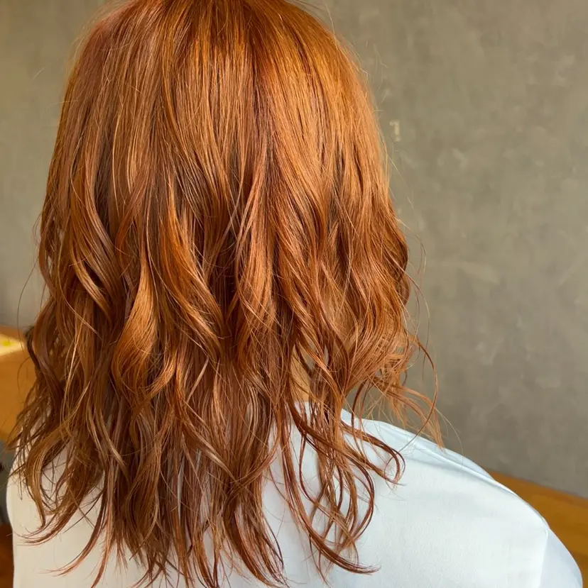 塩崎 春香の掲載