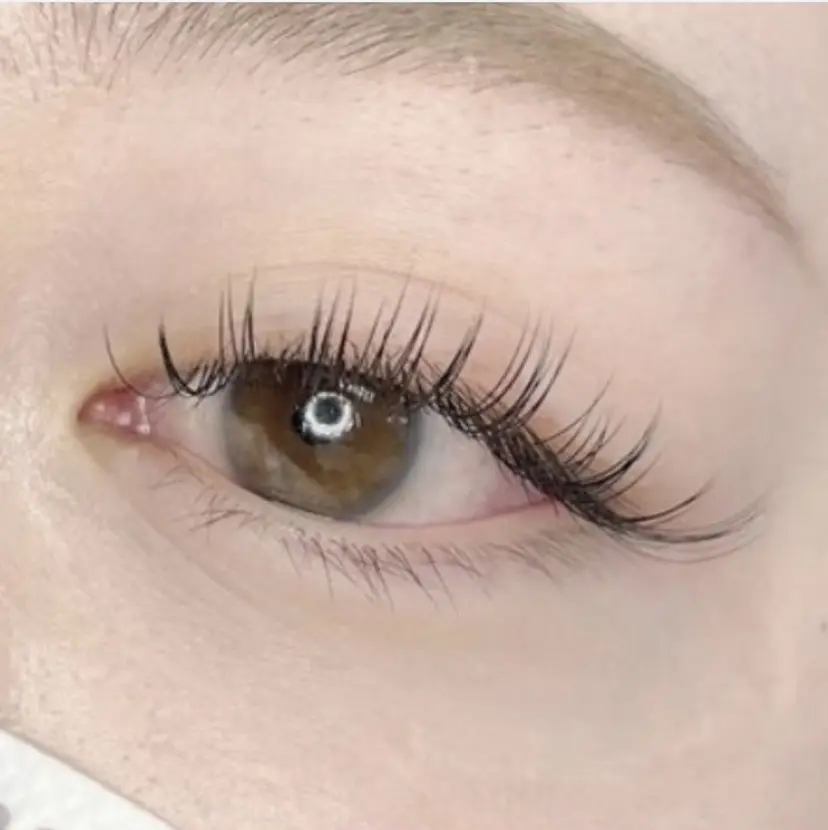 若島 幸子の掲載