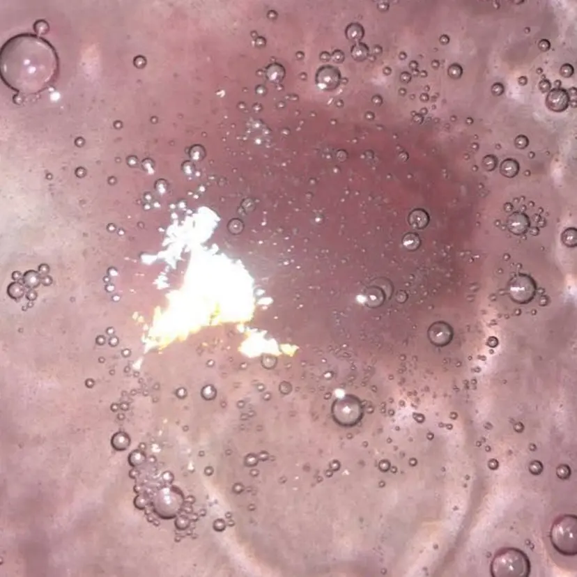 ADACHI REINAの掲載