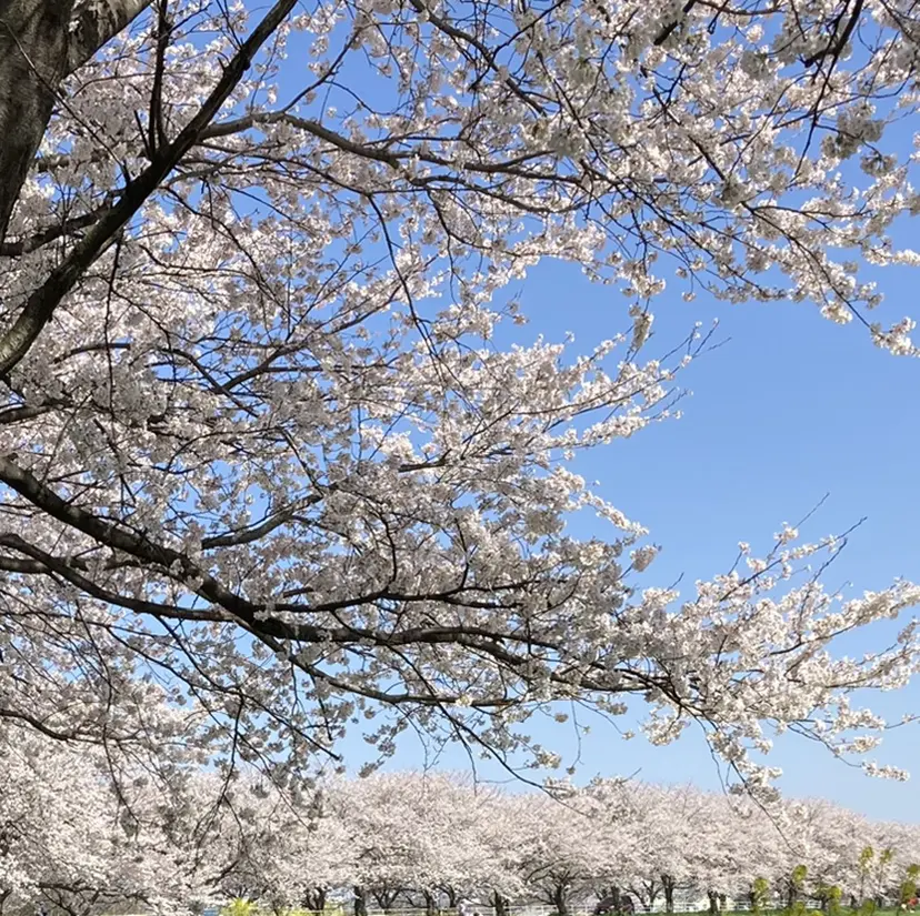 今井 万里絵の掲載