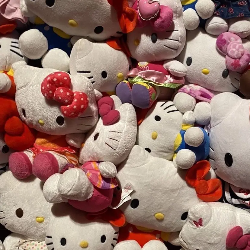 VENUSBELT reiの掲載