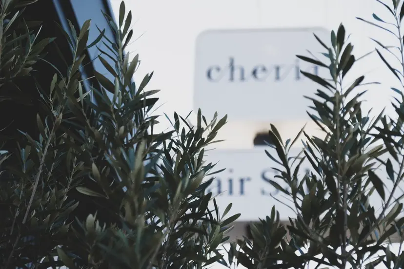 藤井 美陽の掲載