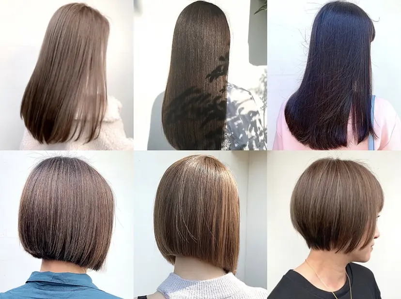 AGREE Momokaの掲載