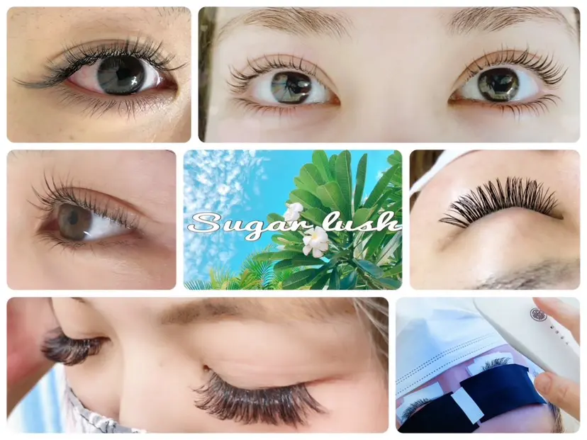 maruyama nagisaの掲載