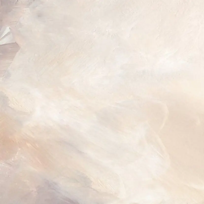 OLIVIA GINZA 阪井の掲載