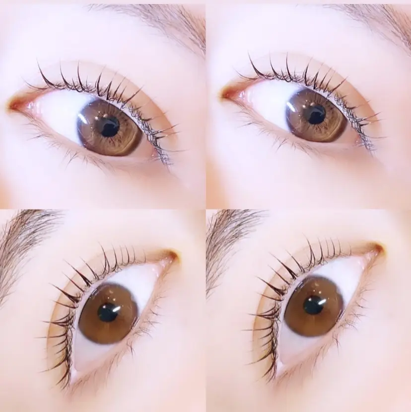 アミスアイラッシュ 清光美弥子の掲載