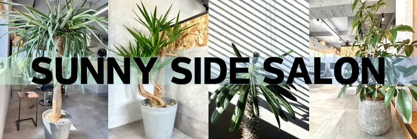 たかはし はるかの掲載