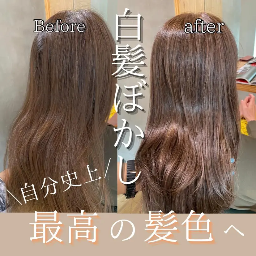 美容室 Hollowの掲載