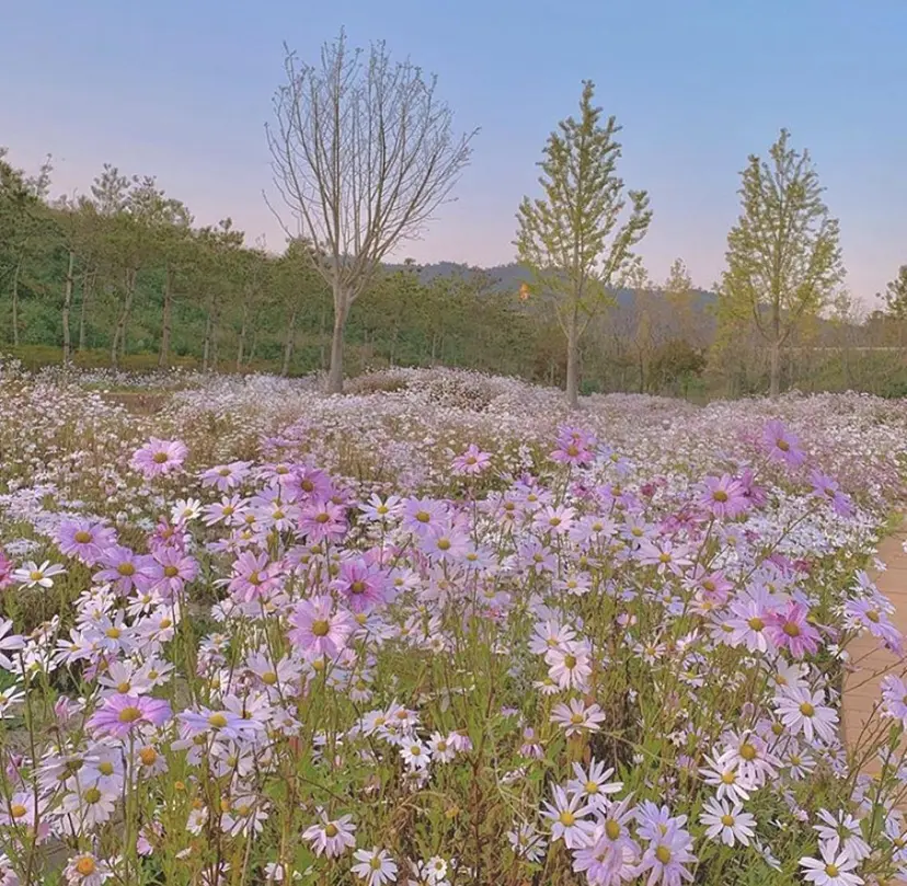 Corin まつげサロンの掲載