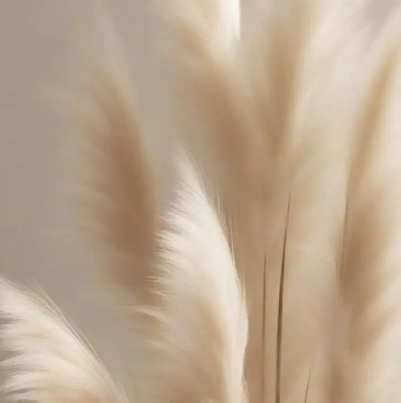 kawano nozomiの掲載