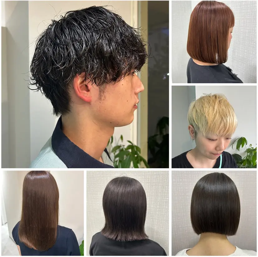 Rune 横田 椿の掲載