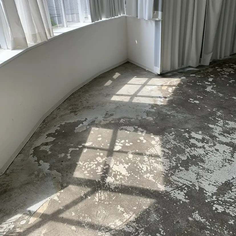 putri 川邉 優花の掲載